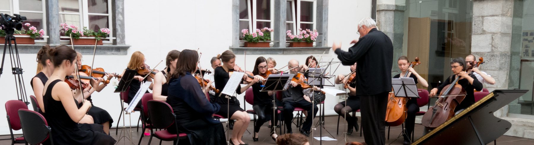 Camerata medica  - Koncert v polhograjski graščini