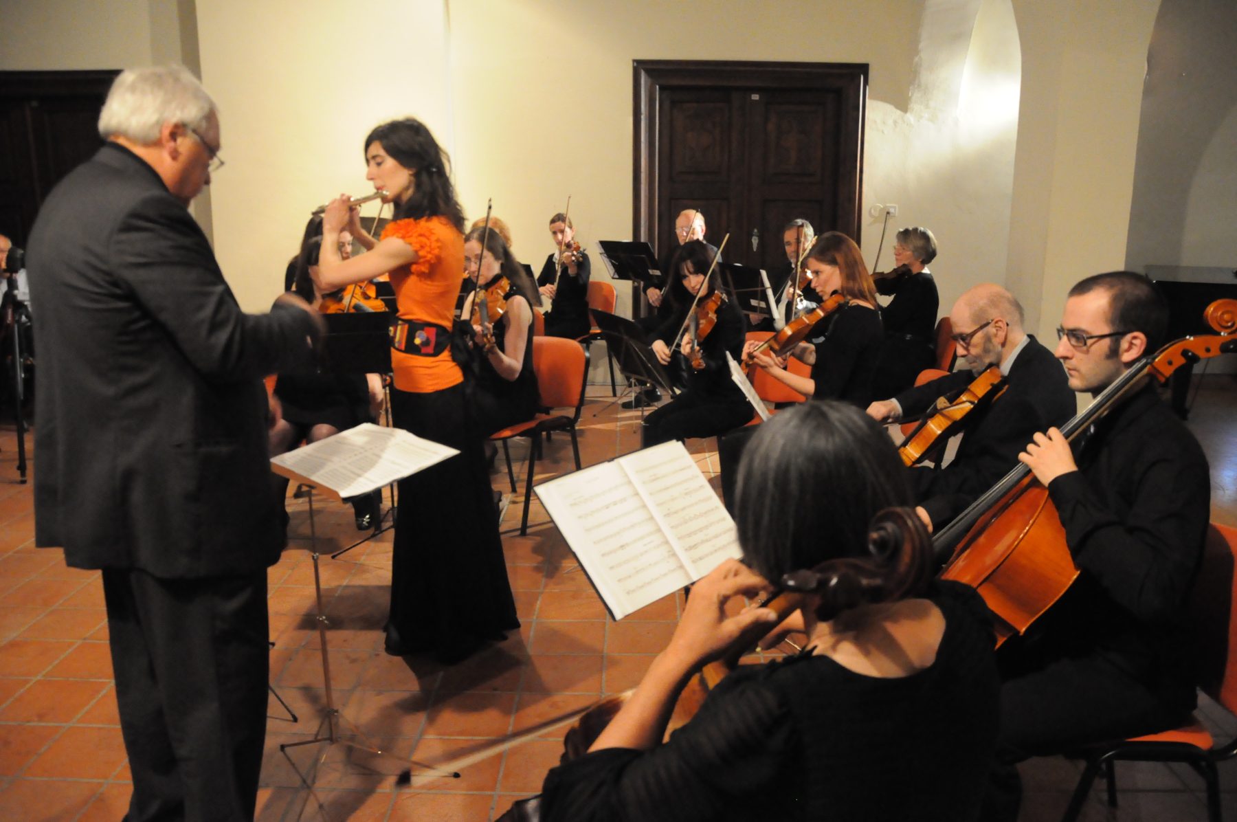 Camerata medica
