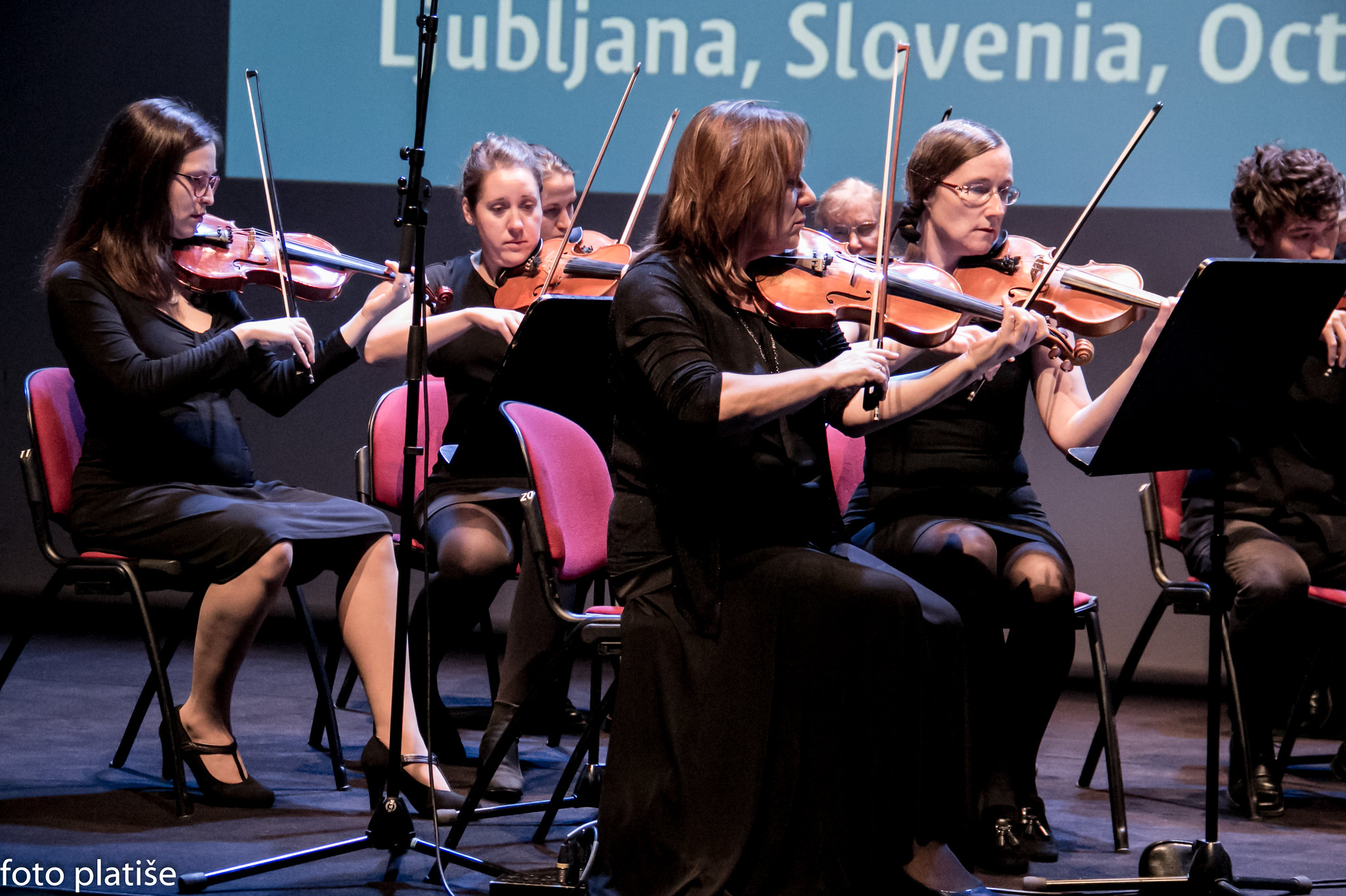 foto platiše-8202