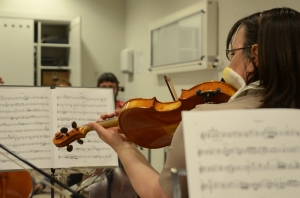 Camerata medica  - Zaščiteno: Interno