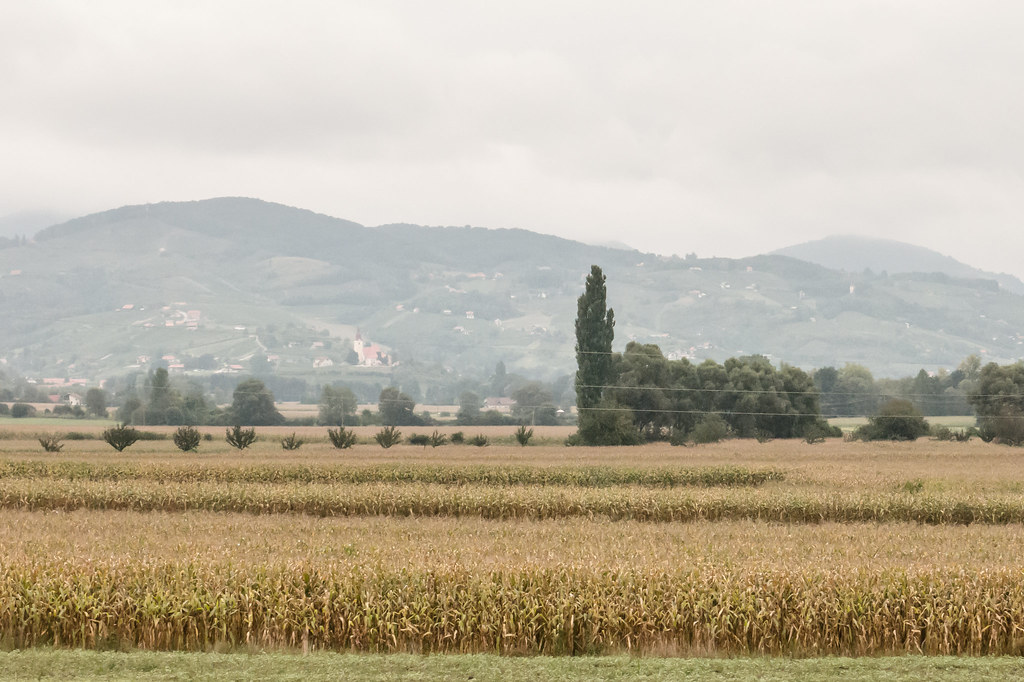 foto platiše-2603